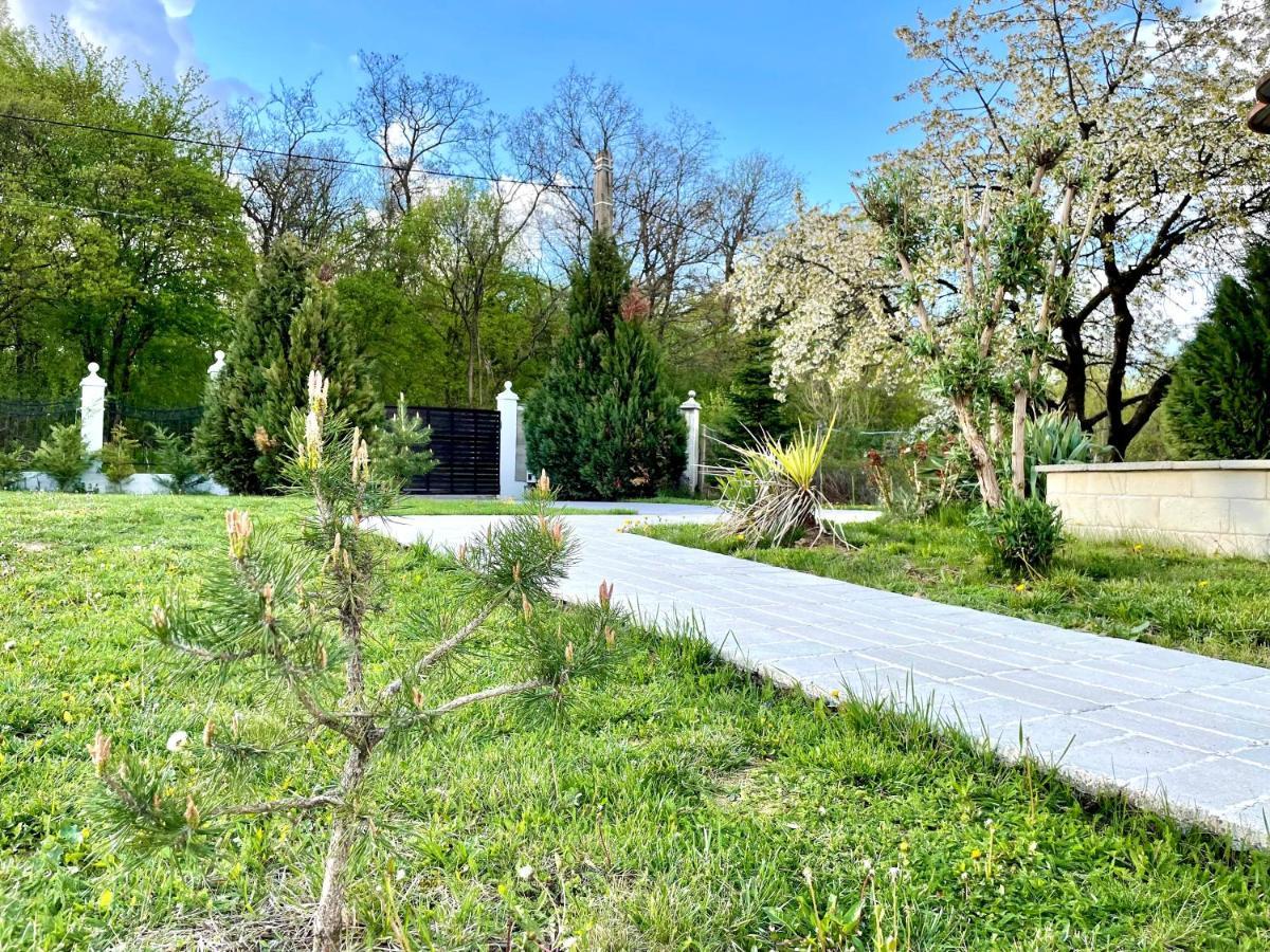 Hermesvilla Băile Felix Εξωτερικό φωτογραφία